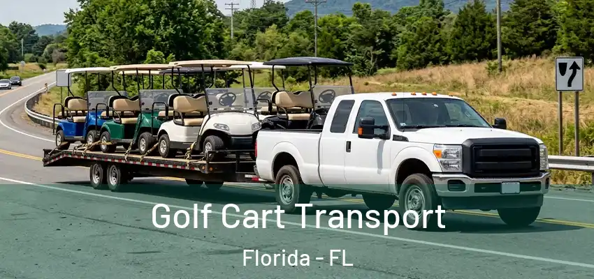 Golf Cart Transport Florida - FL