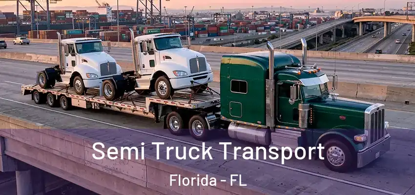  Semi Truck Transport Florida - FL