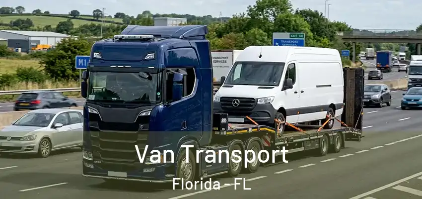  Van Transport Florida - FL